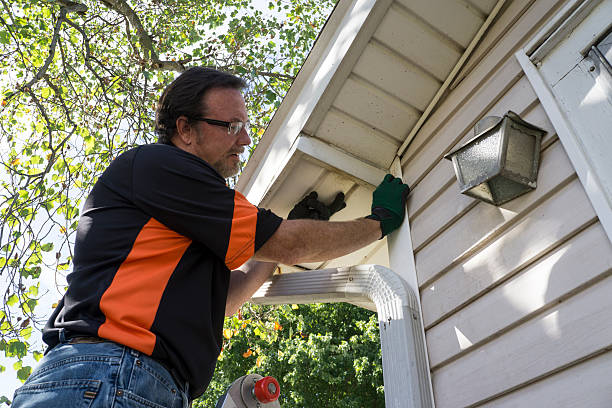 Affordable Siding Repair and Maintenance Services in Elverta, CA